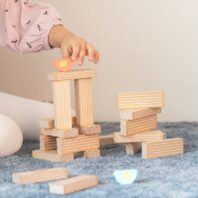 CLASSIC-WORLD-Gra-Edukacyjna-Ukladanie-Klockow-Ptakow-23-el-2