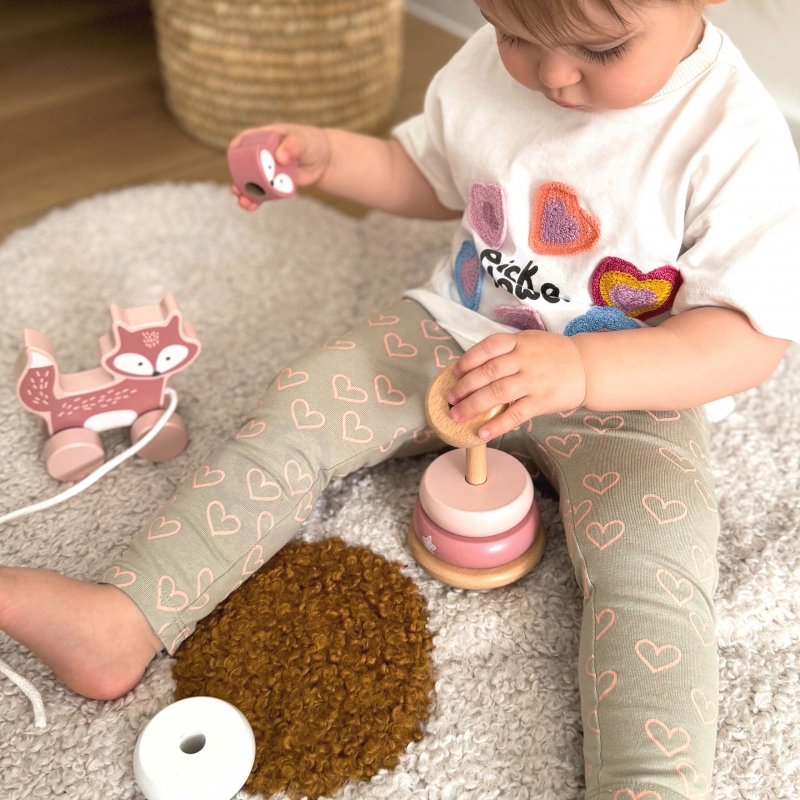 VIGA-PolarB-Zestaw-Lisek-Drewniana-Piramidka-Lisek-do-Ciagniecia-1